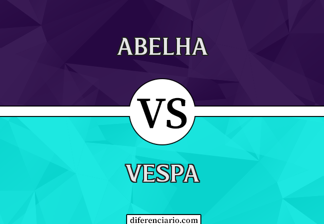 Diferença entre abelha e vespa