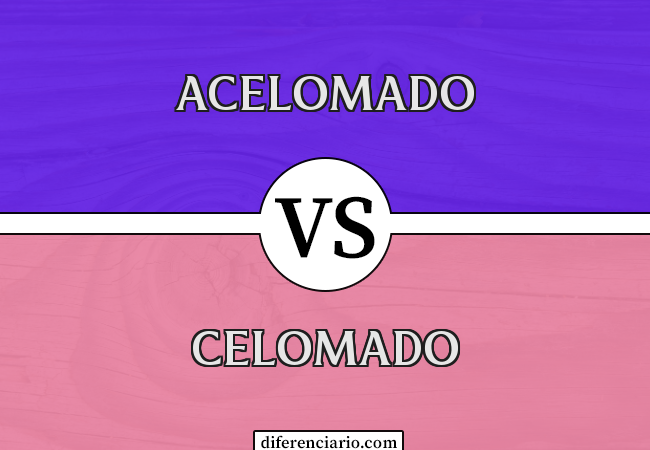 Diferença entre Acelomado e Celomado