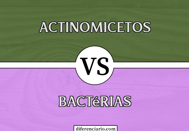 Diferença entre actinomicetos e bactérias