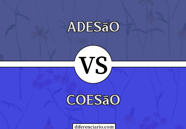 Diferença entre adesão e coesão