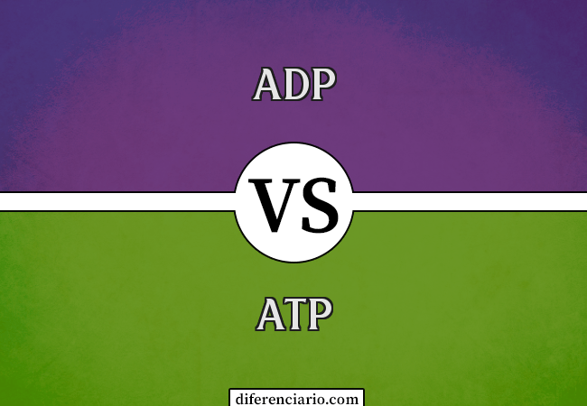 Diferença entre ADP e ATP