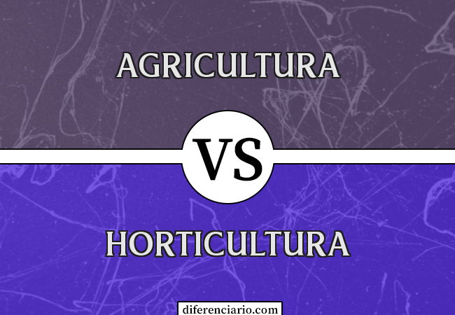 Diferença entre agricultura e horticultura