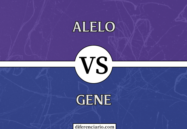 Diferença entre alelo e gene