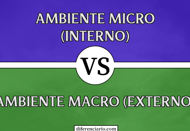 Diferença entre ambiente micro (interno) e ambiente macro (externo)