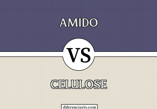 Diferença entre amido e celulose