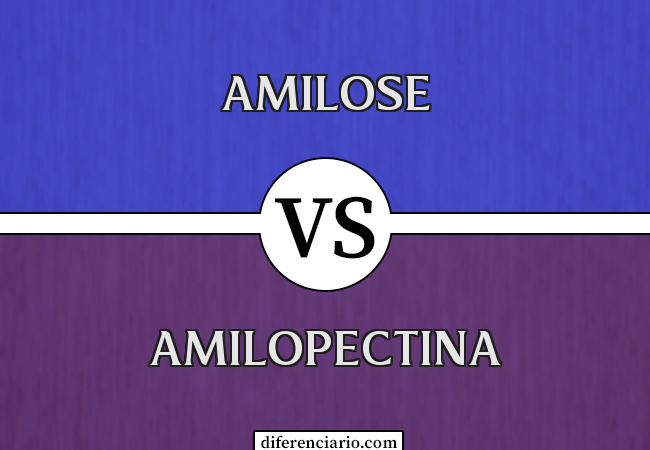 Diferença entre Amilose e Amilopectina