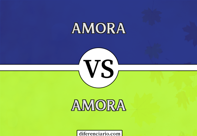 Diferença entre amora e amora