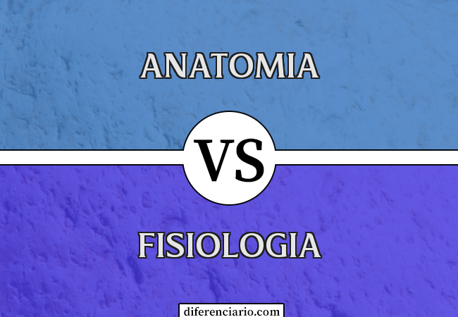 Diferença entre anatomia e fisiologia