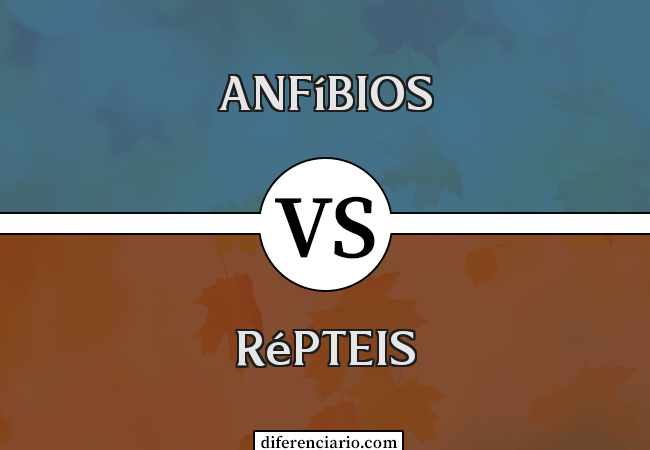 Diferença entre anfíbios e répteis