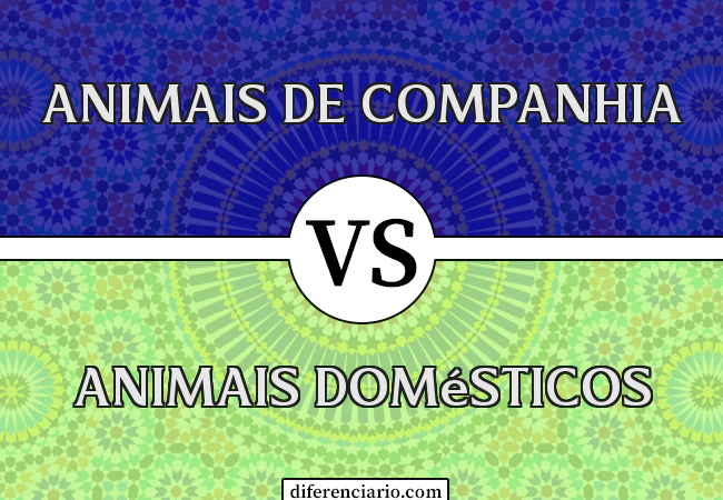 Diferença entre animais de companhia e animais domésticos