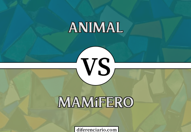 Diferença entre animal e mamífero