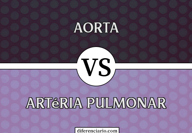 Diferença entre aorta e artéria pulmonar