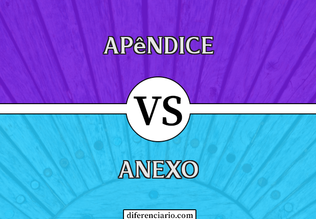 Diferença entre Apêndice e Anexo