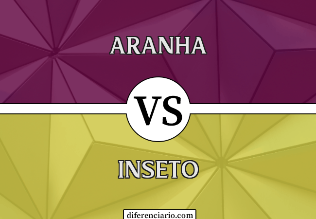 Diferença entre aranha e inseto