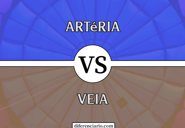 Diferença entre artéria e veia