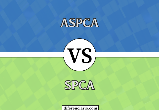 Diferença entre ASPCA e SPCA