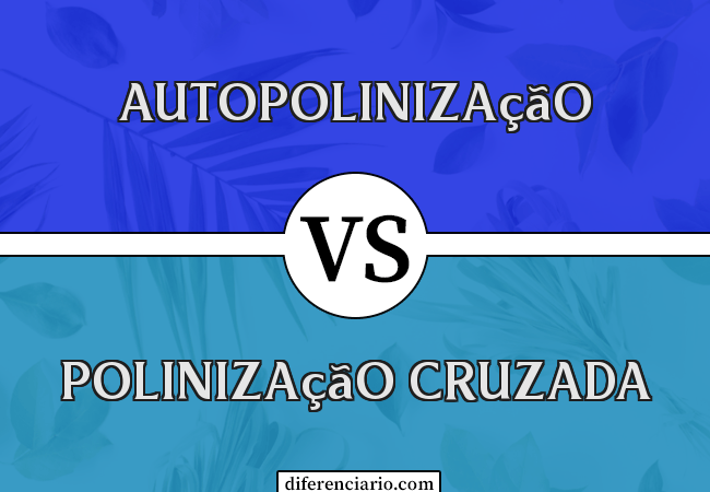 Diferença entre autopolinização e polinização cruzada