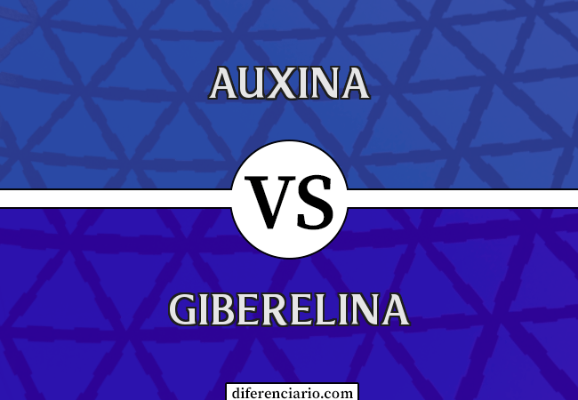 Diferença entre auxina e giberelina