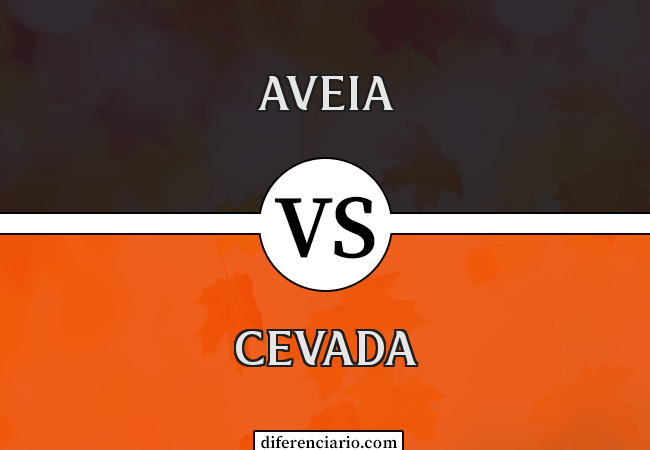 Diferença entre aveia e cevada