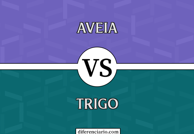 Diferença entre aveia e trigo