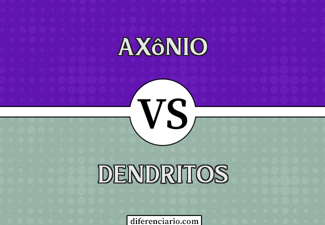 Diferença entre axônio e dendritos