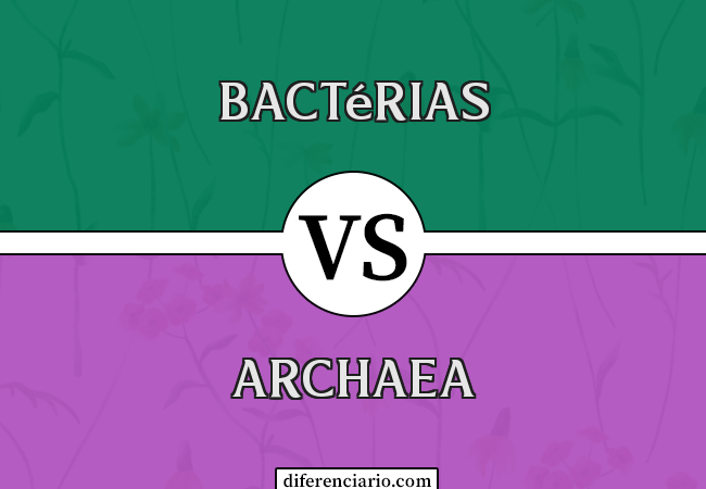 Diferença entre Bactérias e Archaea