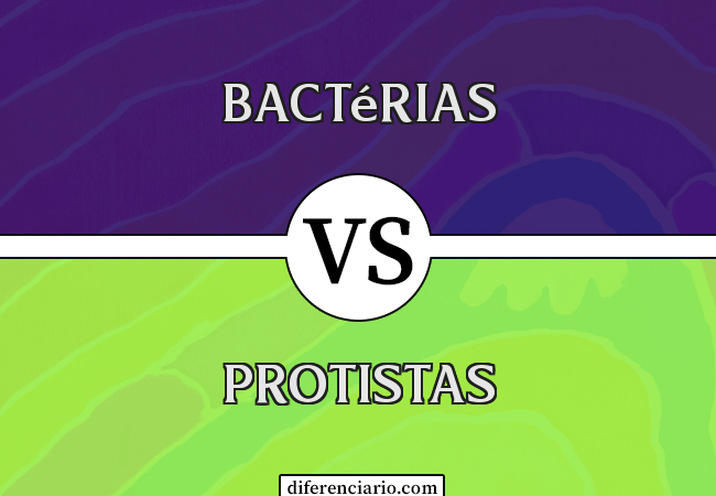Diferença entre bactérias e protistas