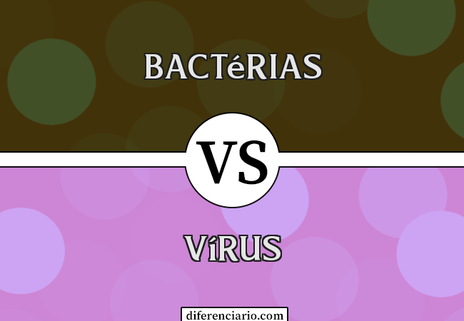 Diferença entre bactérias e vírus