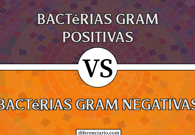 Diferença entre bactérias Gram positivas e bactérias Gram negativas