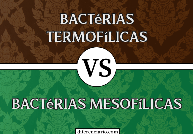 Diferença entre bactérias termofílicas e bactérias mesofílicas