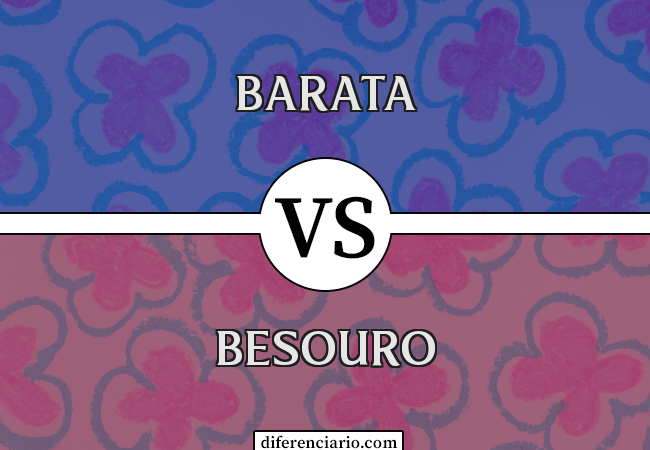 Diferença entre barata e besouro