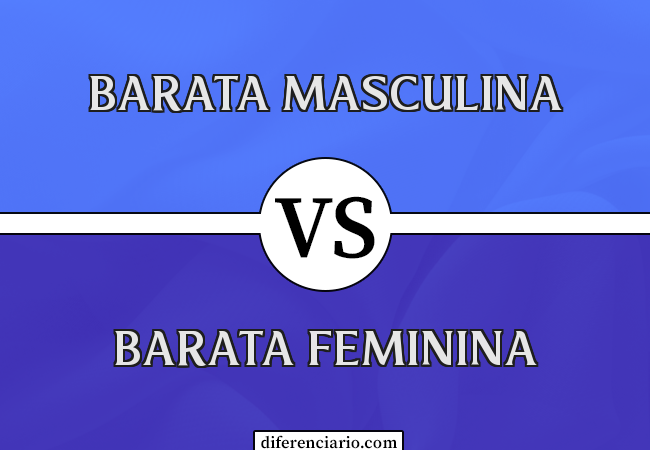 Diferença entre barata masculina e barata feminina