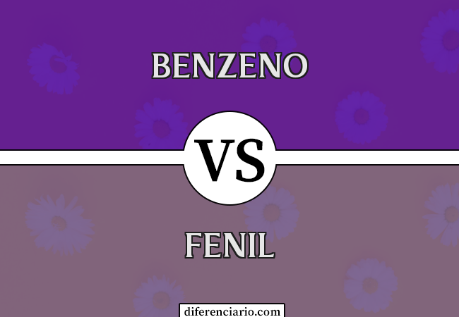 Diferença entre benzeno e fenil