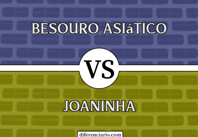 Diferença entre besouro asiático e joaninha