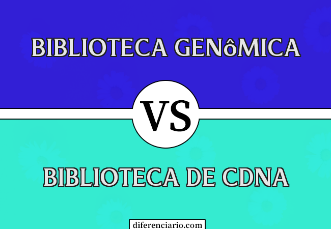 Diferença entre biblioteca genômica e biblioteca de cDNA