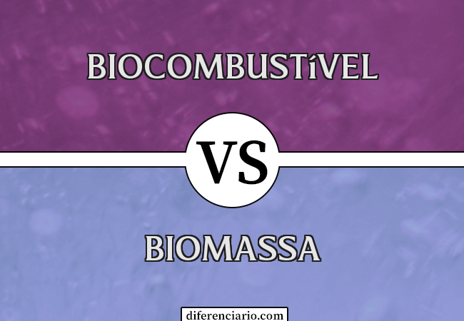 Diferença entre Biocombustível e Biomassa