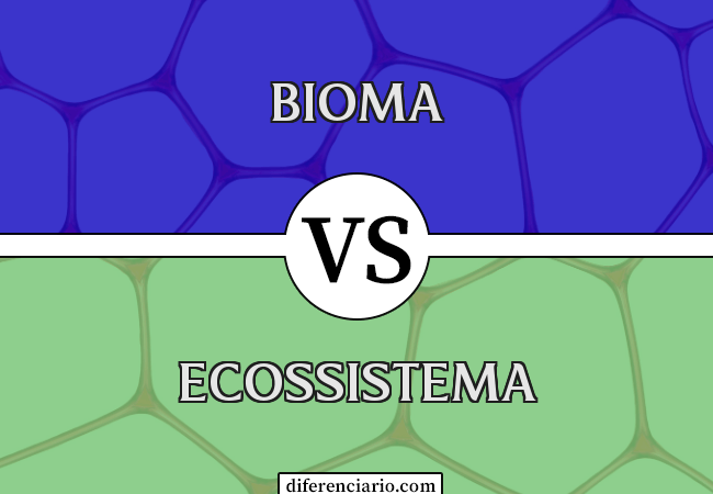 Diferença entre Bioma e Ecossistema