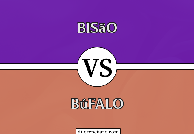 Diferença entre Bisão e Búfalo