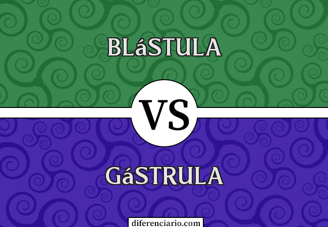 Diferença entre blástula e gástrula