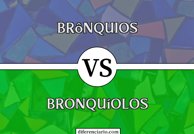 Diferença entre brônquios e bronquíolos