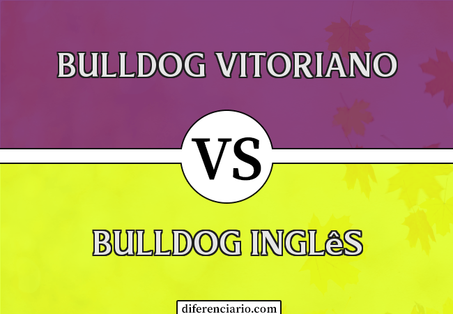 Diferença entre Bulldog Vitoriano e Bulldog Inglês