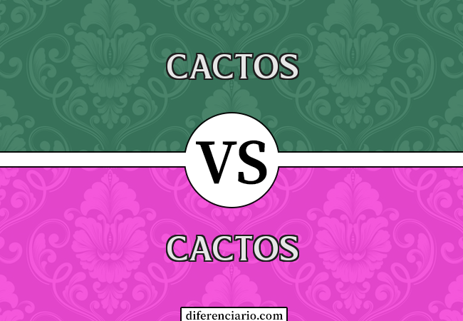 Diferença entre cactos e cactos