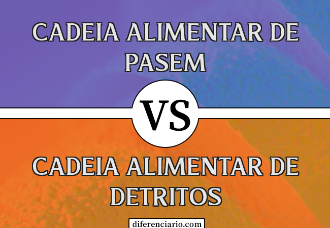 Diferença entre Cadeia Alimentar de Pasem e Cadeia Alimentar de Detritos