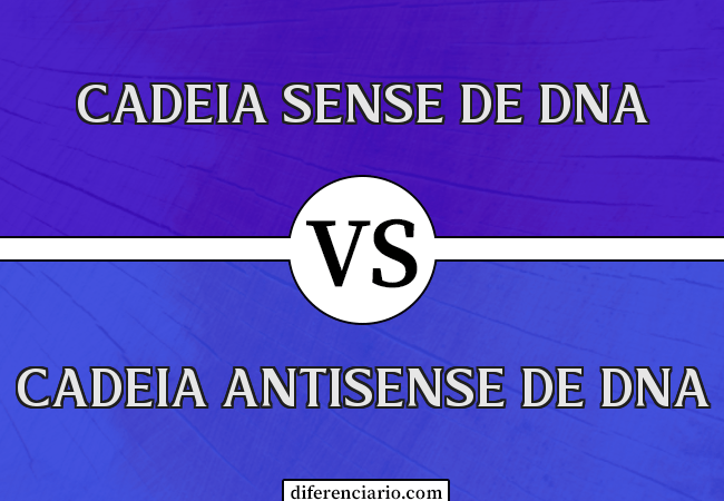 Diferença entre a Cadeia Sense de DNA e a Cadeia Antisense de DNA