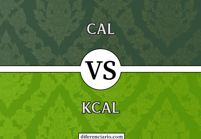 Diferença entre Cal e Kcal