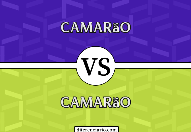 Diferença entre camarão e camarão