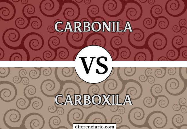 Diferença entre carbonila e carboxila