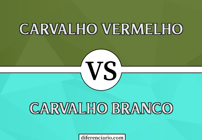 Diferença entre carvalho vermelho e carvalho branco