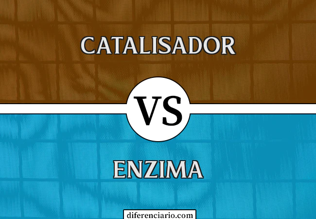 Diferença entre catalisador e enzima