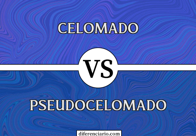 Diferença entre Celomado e Pseudocelomado